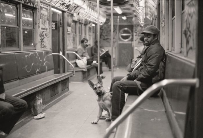 Photographer tells the story of the New York subway through vintage photos 5c2f0d55e355e 700