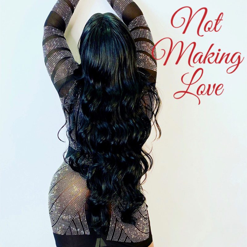 Not Making Love Cover Art