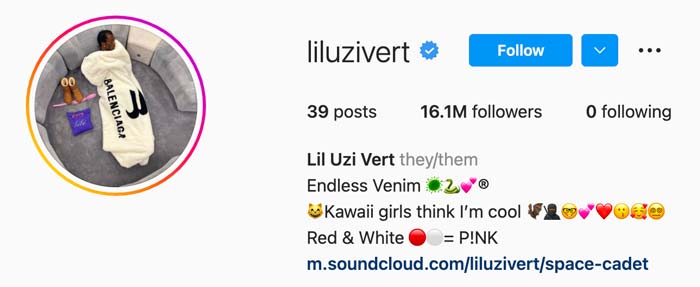 lil uzi vert ig bio