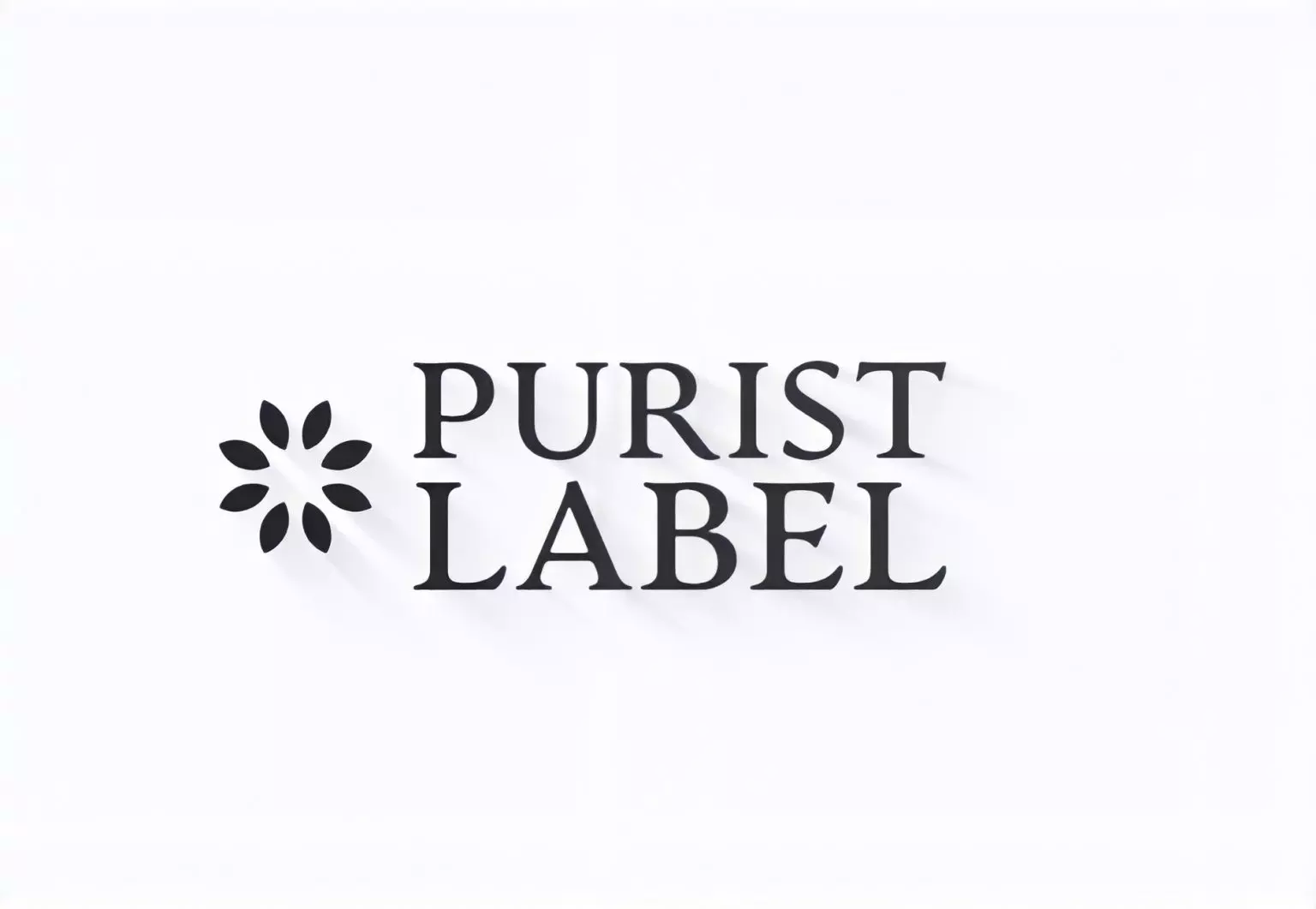 puristlabel-a-innovative-and-customized-approach-to-artist-management