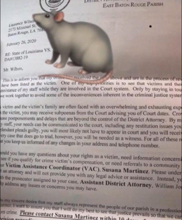Text

Description automatically generated