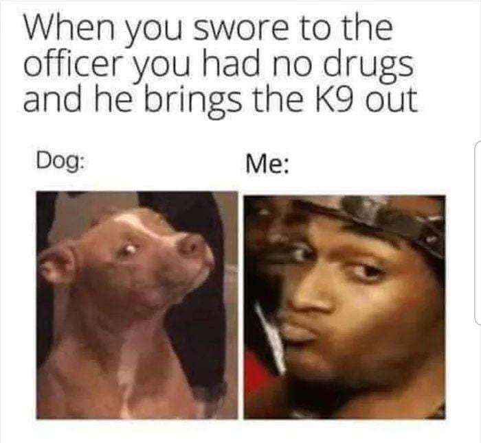 Text, application

Description automatically generated