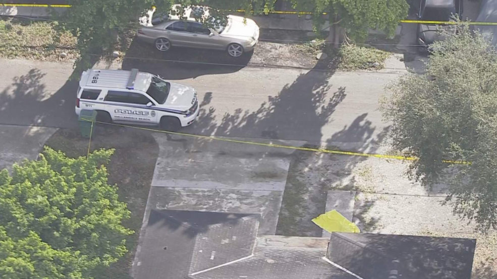 A picture containing text, tree, outdoor, military vehicle

Description automatically generated