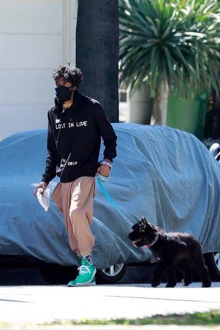 A person walking a dog on a leash

Description automatically generated with medium confidence