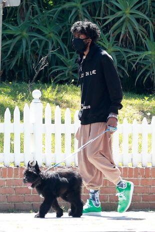 A person walking a dog

Description automatically generated with medium confidence