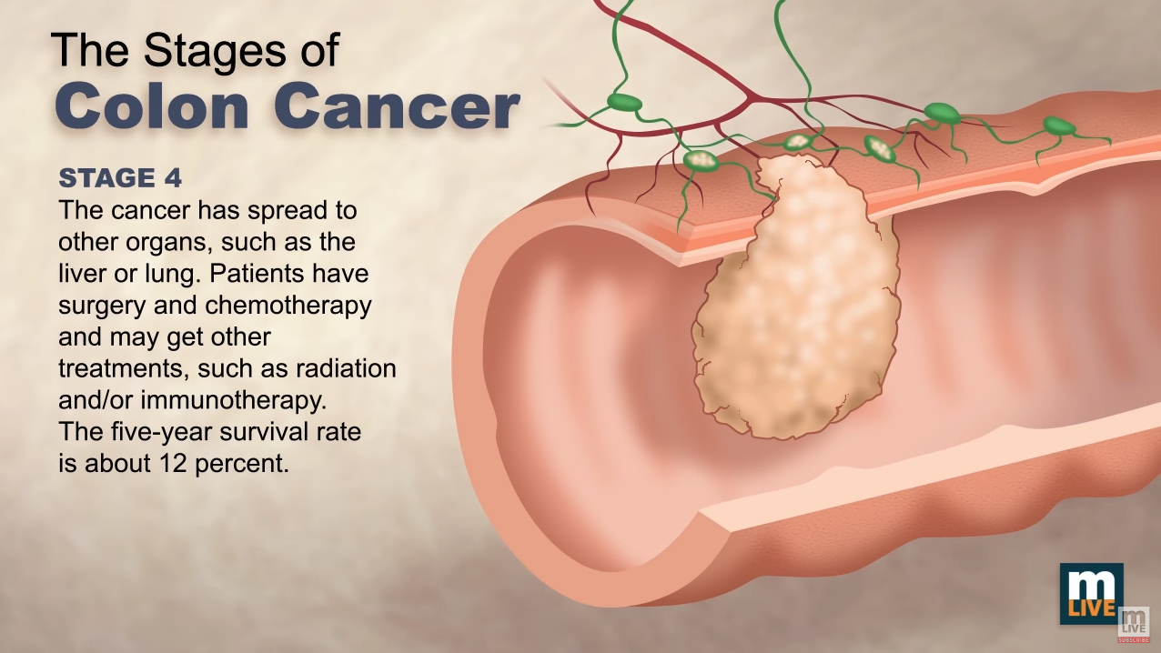 A picture containing text, screenshot, food

Description automatically generated