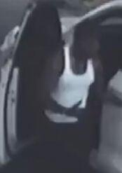 suspect-Lumes shooting