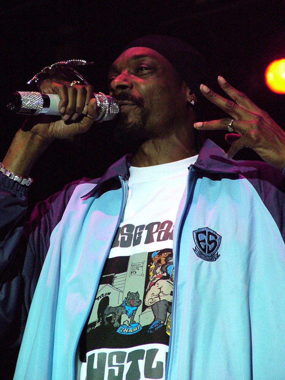 Snoop Dogg performing live