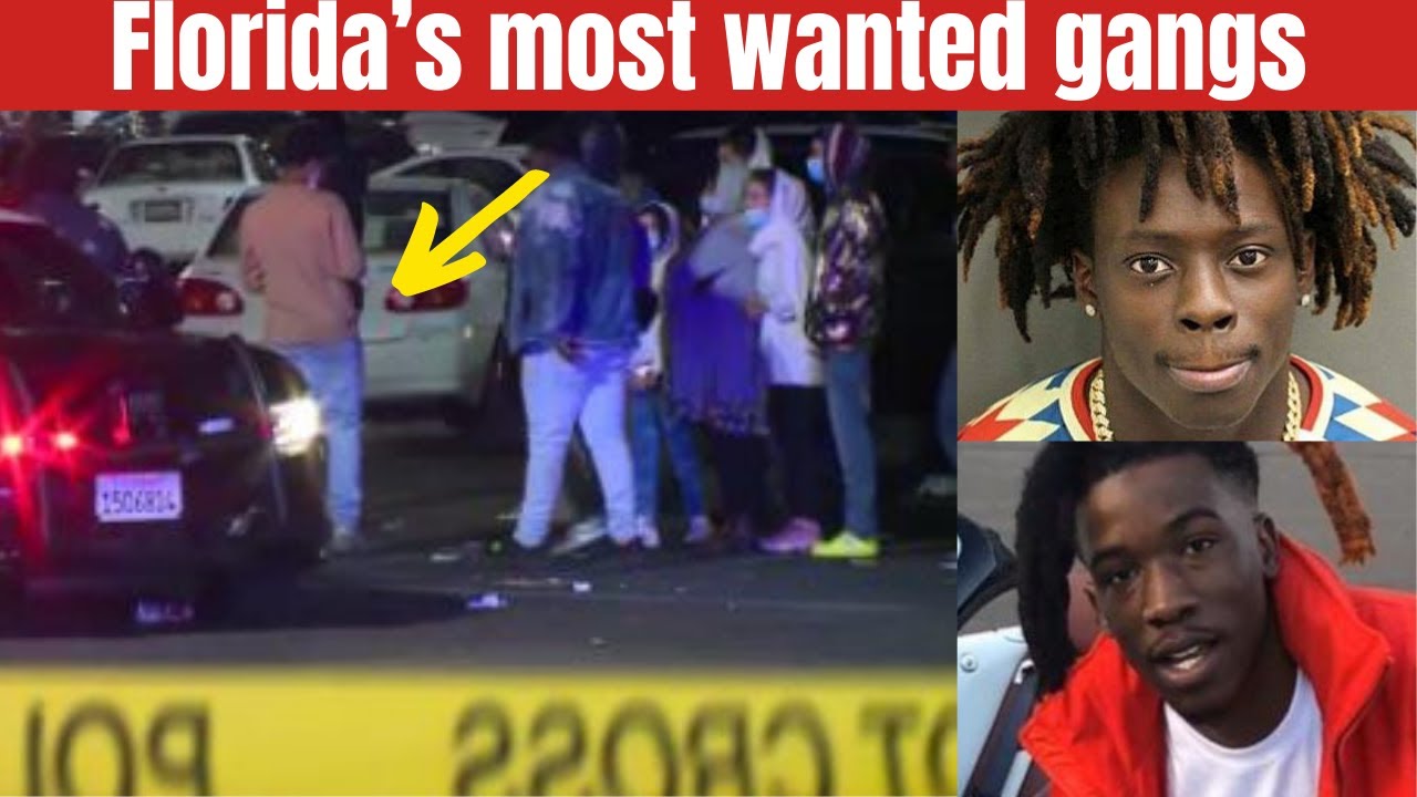 Florida's most wanted gangs AFNF vs 438 documentary thumbnail