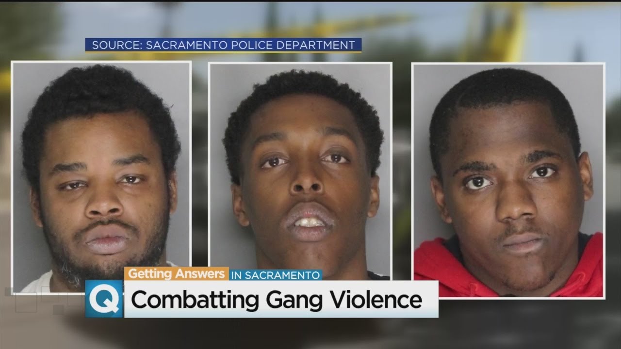 Meadowview Park shooting news report thumbnail
